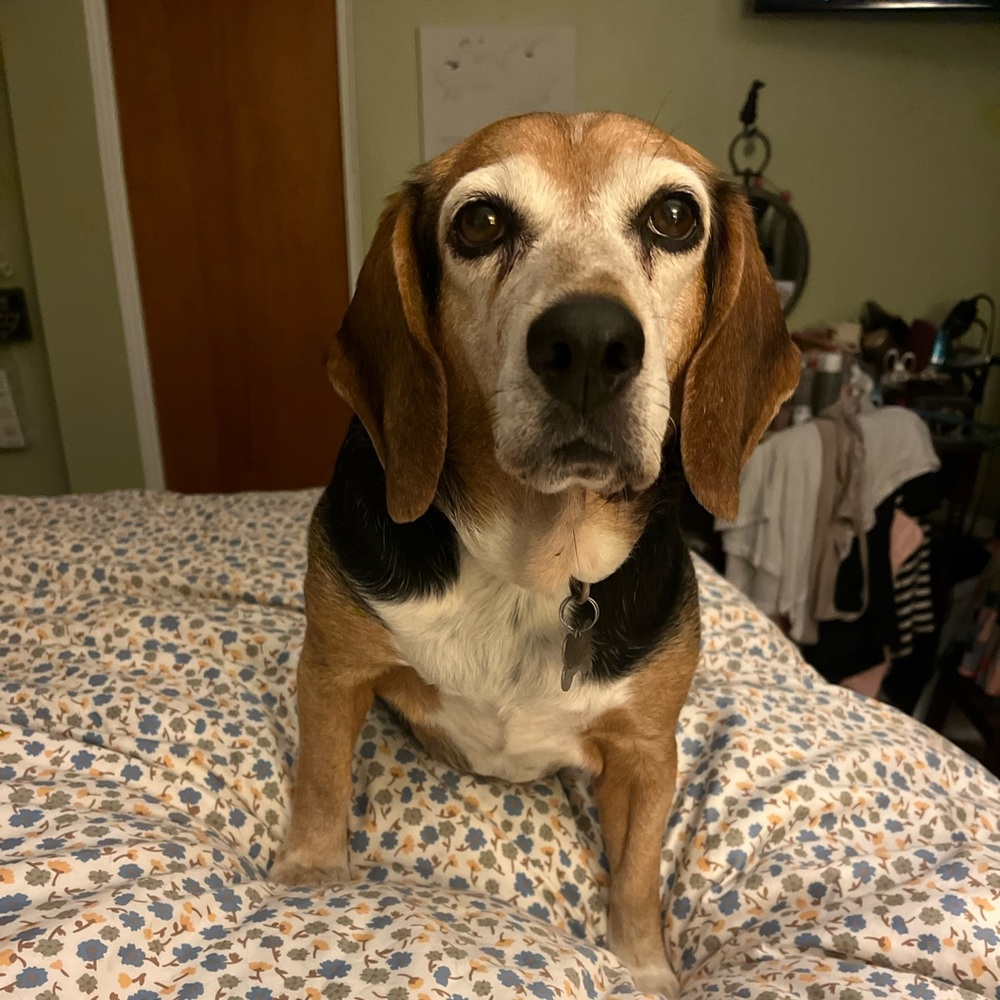 Meet your Posher, Kristen